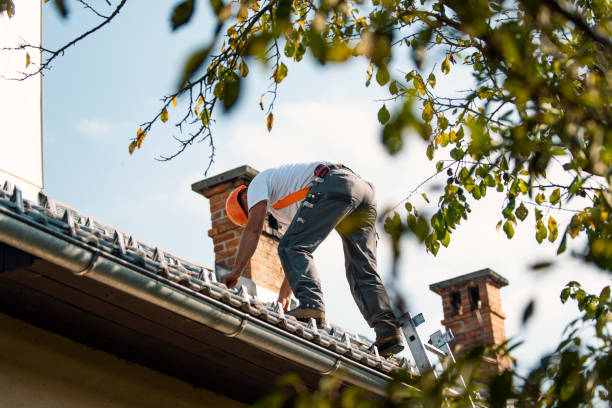 Best New Roof Installation  in Chapman, KS