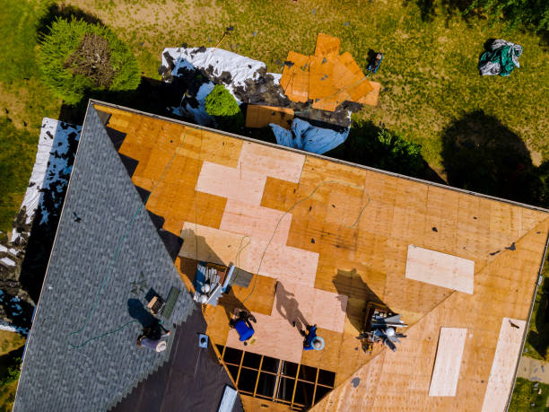 Best Flat Roof Repair Services  in Chapman, KS