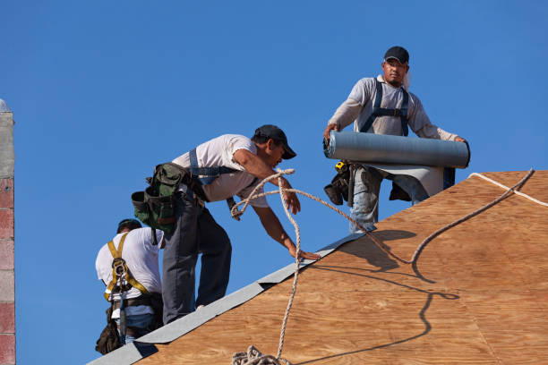 Best Commercial Roofing Services  in Chapman, KS