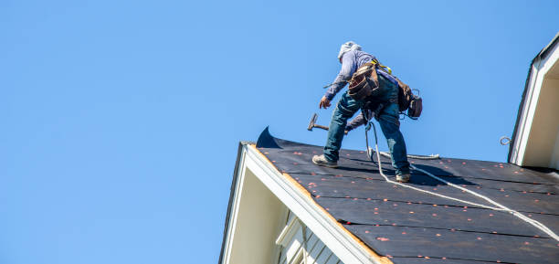 Best Roof Repair Specialists  in Chapman, KS